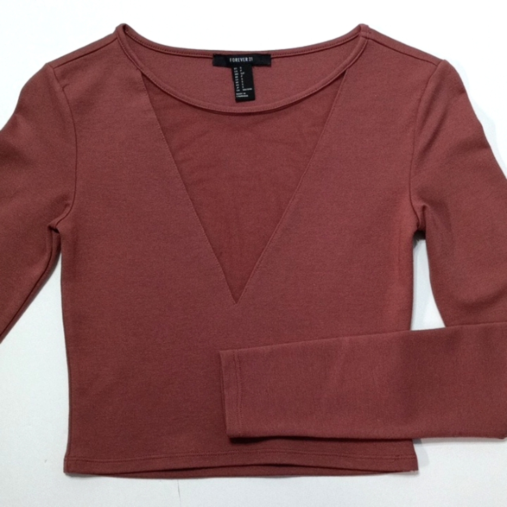 Forever 21 Sheer Mesh Deep V-Neck Long Sleeve Cropped Top Mauve Stretch